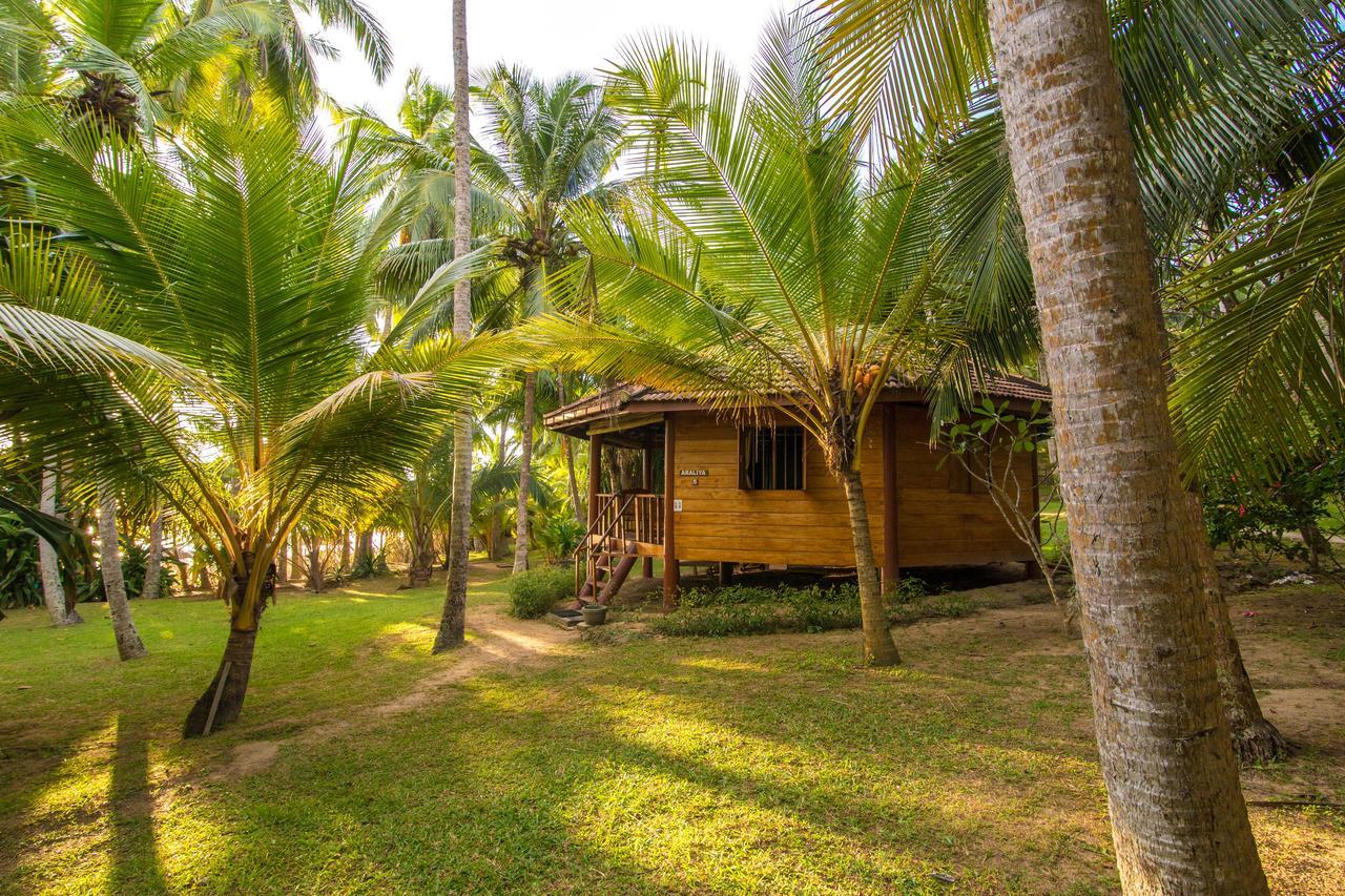 Palm Paradise Cabanas & Villas - Tangalle